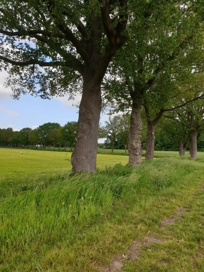 B&B Het Gelders Buitenleven Overasselt ภายนอก รูปภาพ